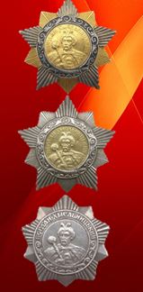 https://nnbrso.ru/medali/assets/img/7.jpg